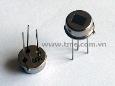 RE200B: Pyroelectric Passive Infrared Sensor (PIR sensor)