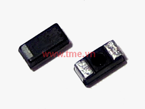 10uF/6.3V ±20% Tantalum Capacitor